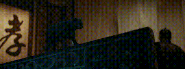 国产惊悚片市场萎缩_韩国论理电影在线观看_网络电影惊悚片兴起
